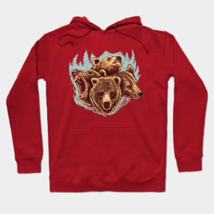 Four Bears (Color) Hoodie